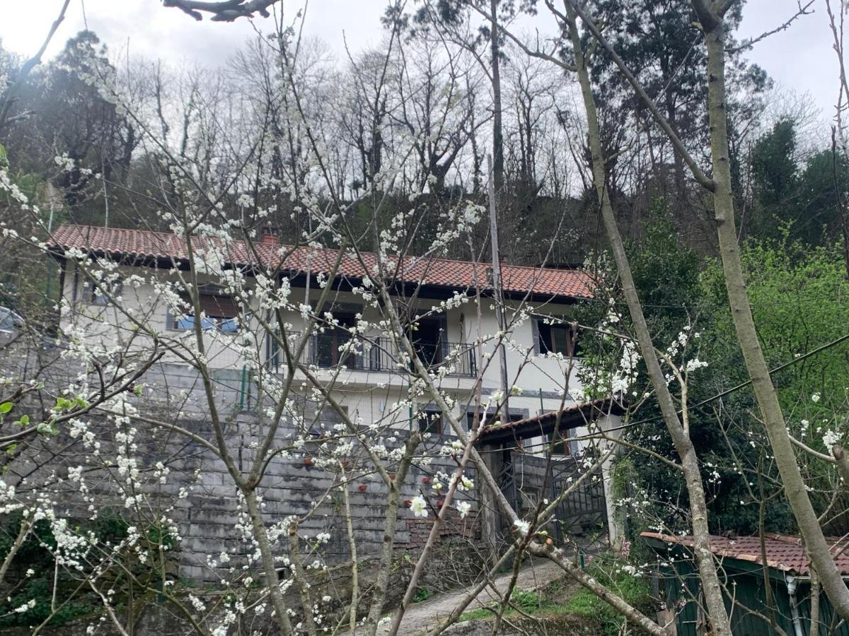 Casa Rural En Santa Cruz-Mieres Bustiello  Exterior photo